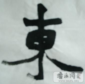SNV10587.JPG
