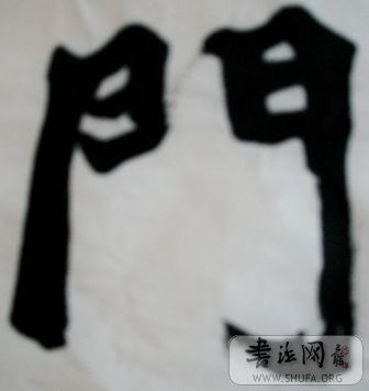 SNV10649.JPG