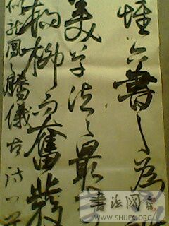IMG0178A.jpg