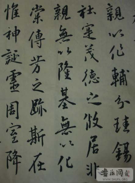 DSC01296.JPG