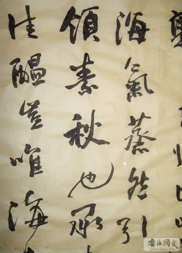 ALIM1394.JPG