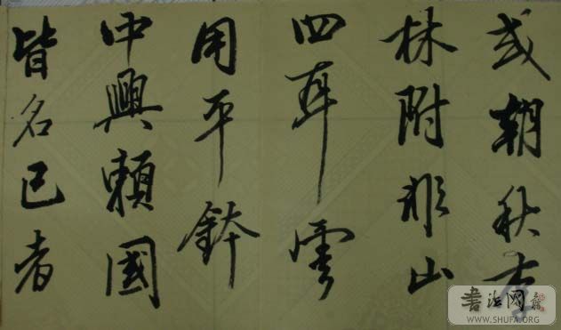 DSC01303.JPG