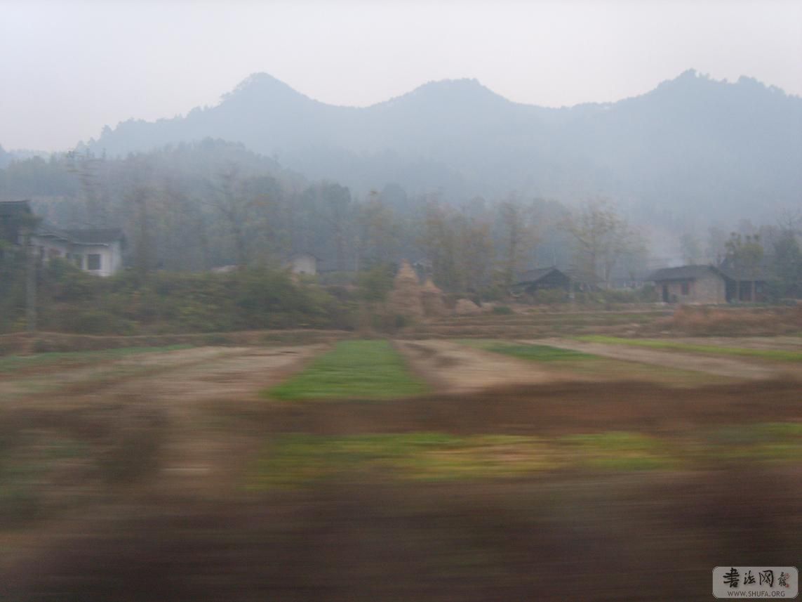 S8004502.jpg