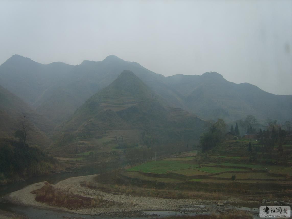 S8004508.jpg