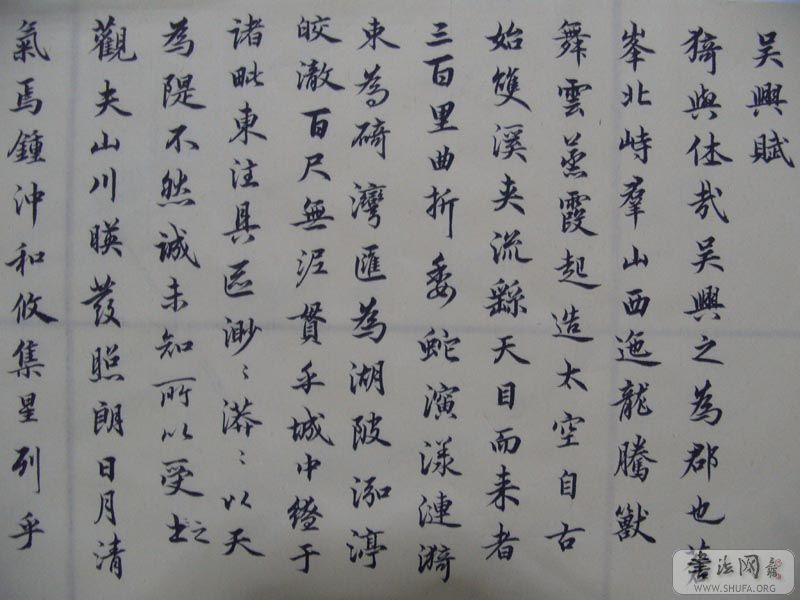 S1050129.jpg