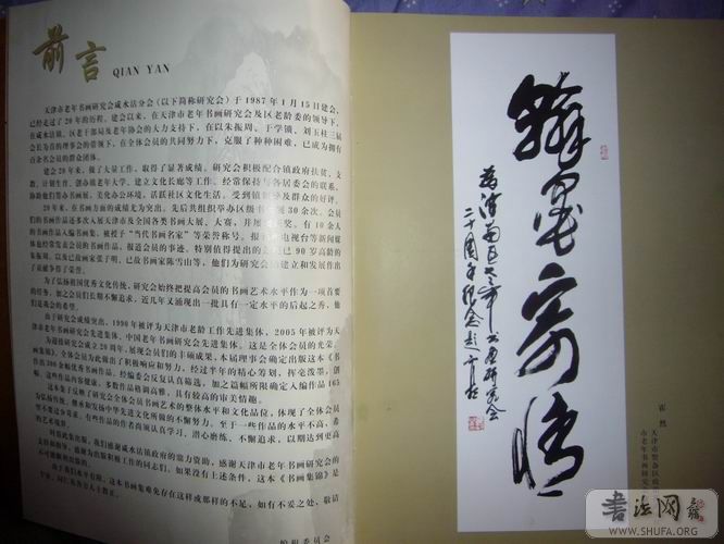 P1010781.JPG
