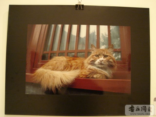 DSC07254.JPG