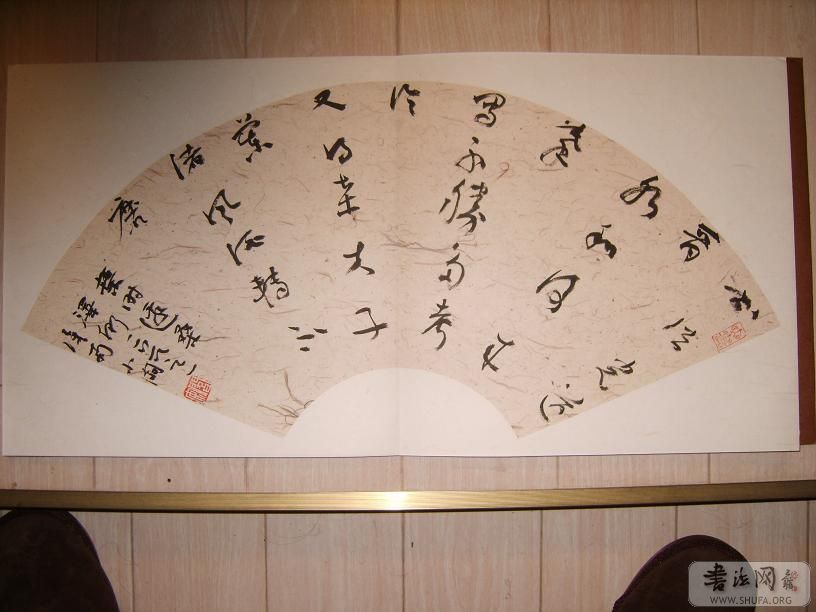 S8004669.jpg