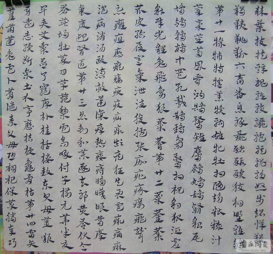 DSCN8976.JPG