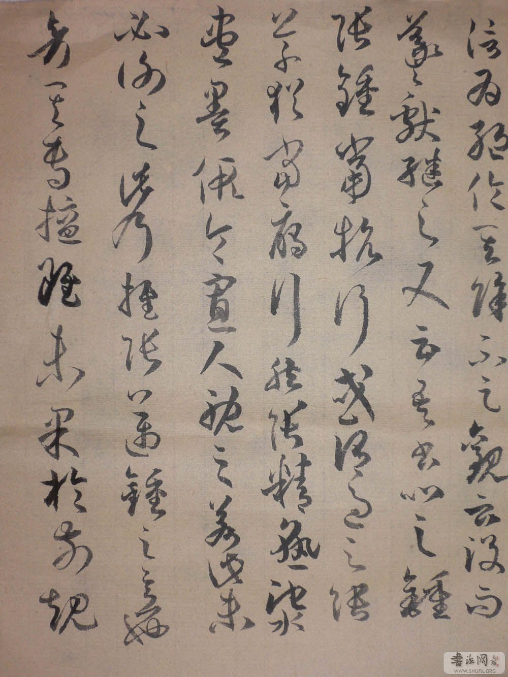 P1010741.jpg