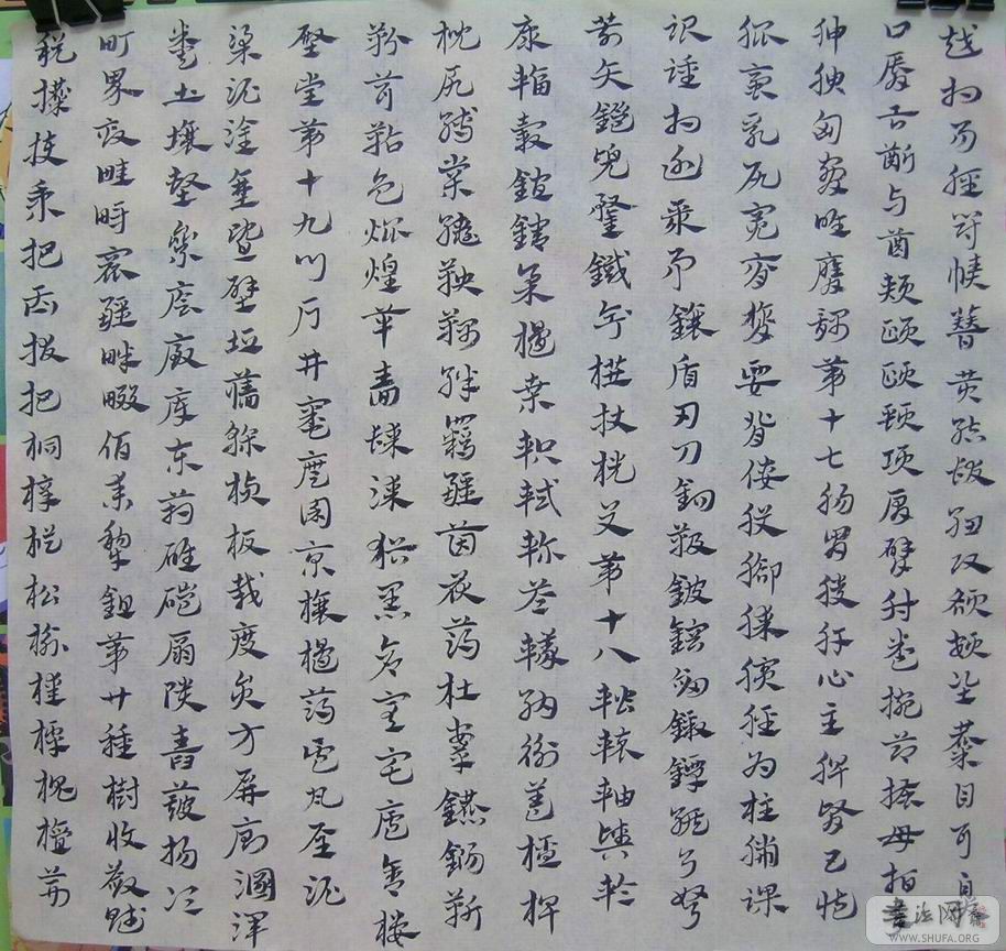 DSCN8975.JPG