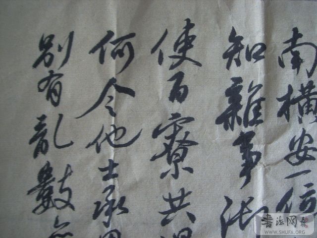 DCAM0010.JPG