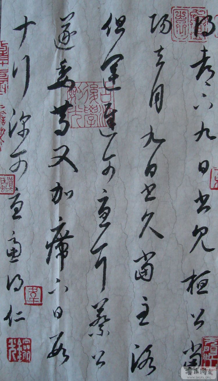 ����������