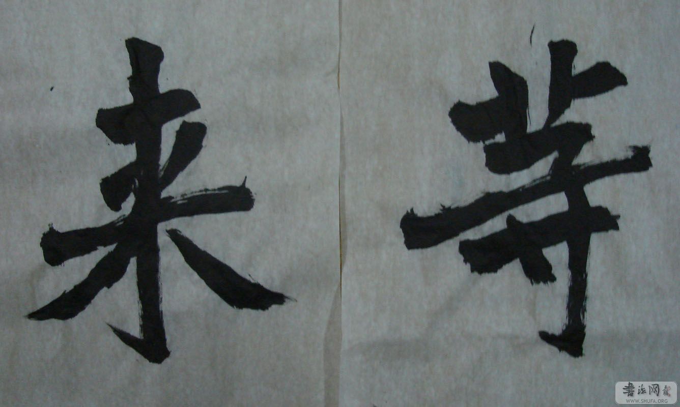 DSC02009.JPG