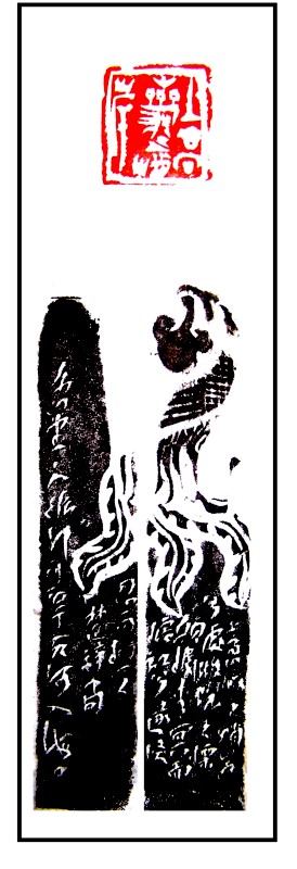 z01.jpg