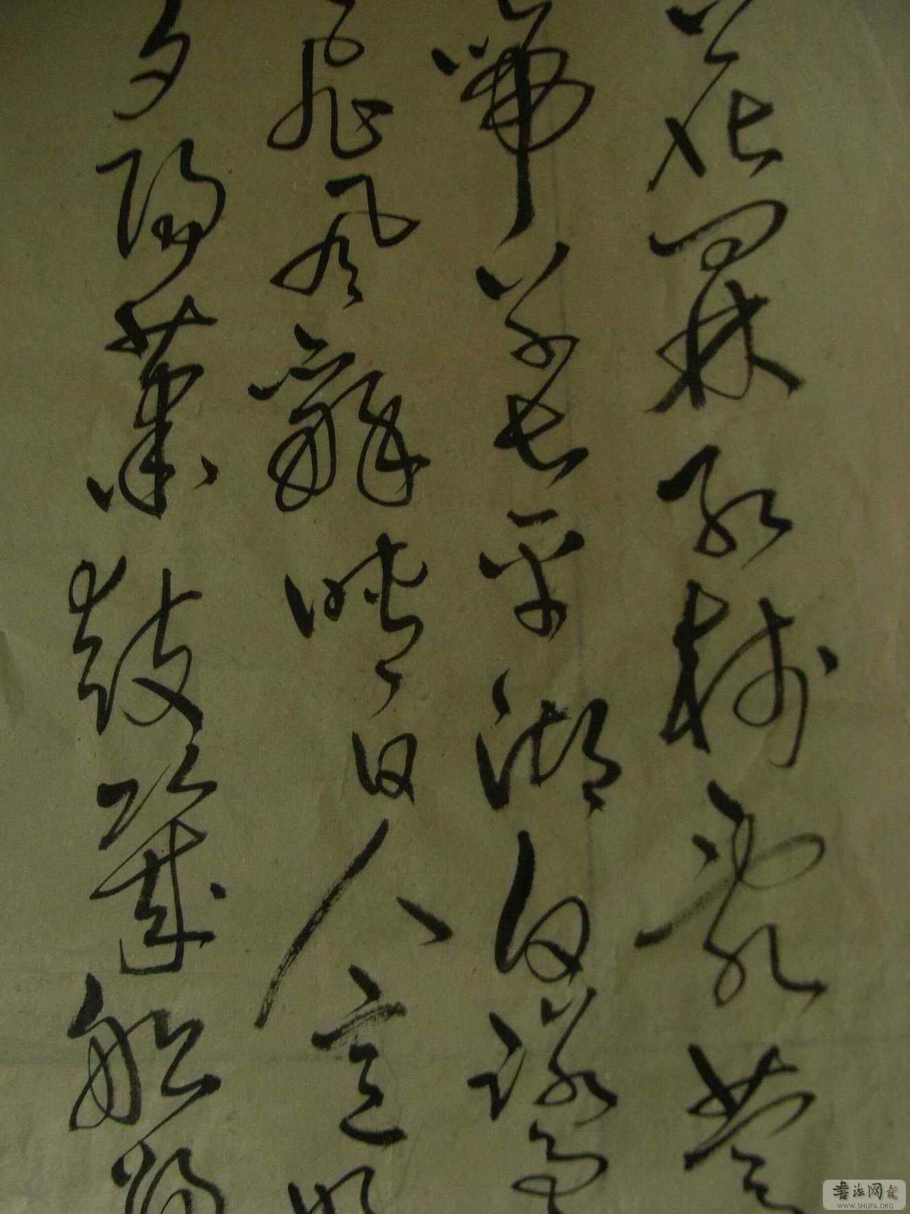 RIMG0736.jpg