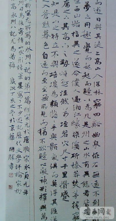 SP_A0348.jpg