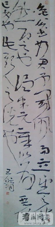 SP_A0343.jpg