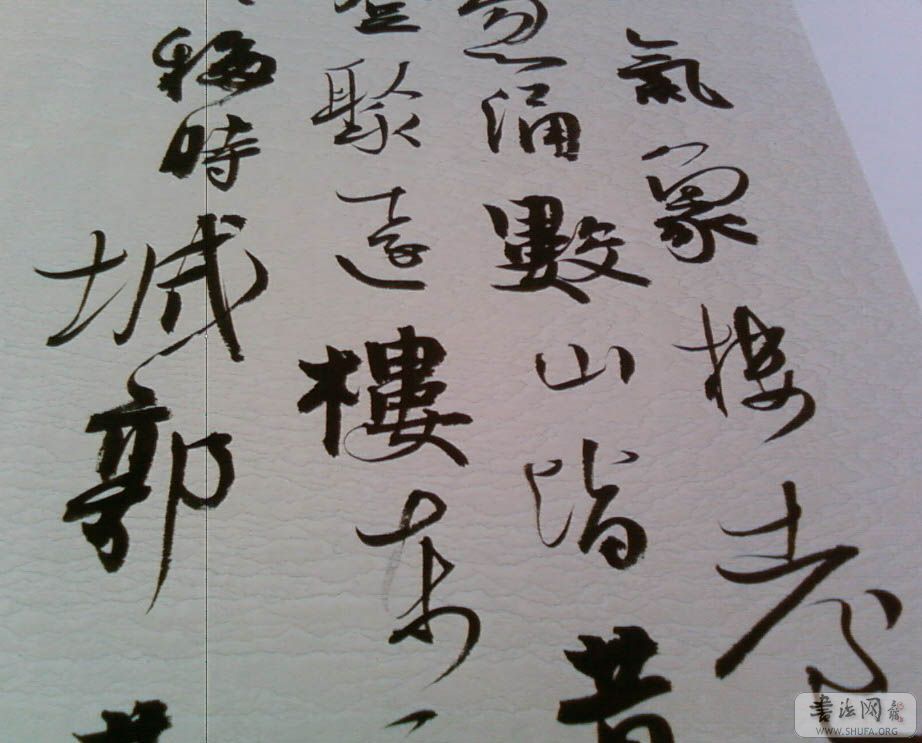 SP_A0350.jpg