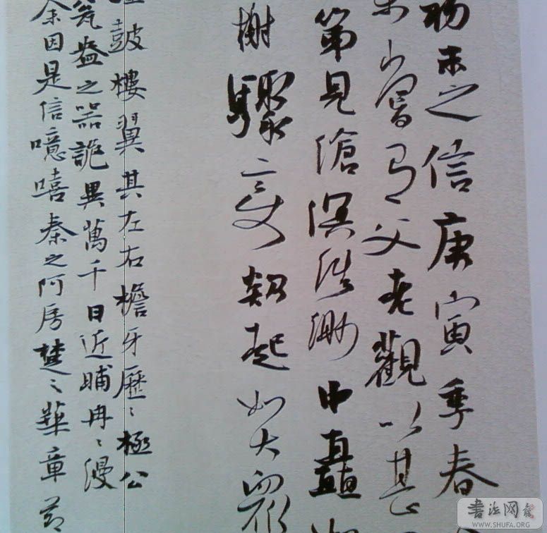 SP_A0347.jpg