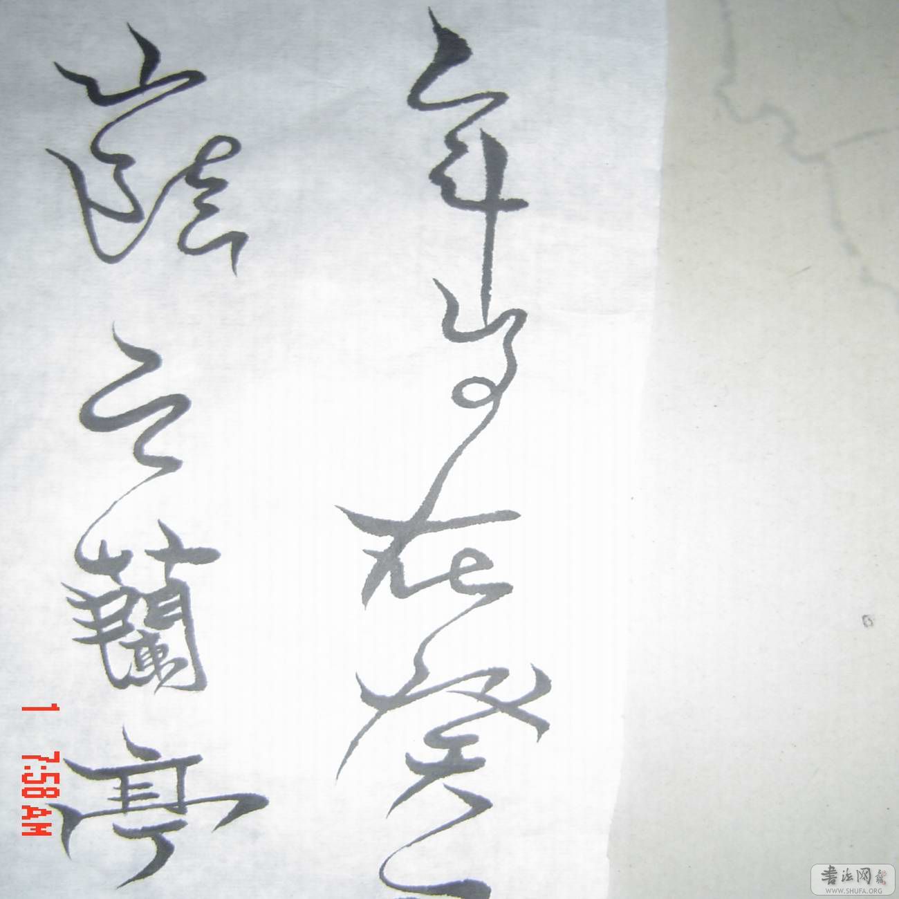 С ת DSC00033.JPG