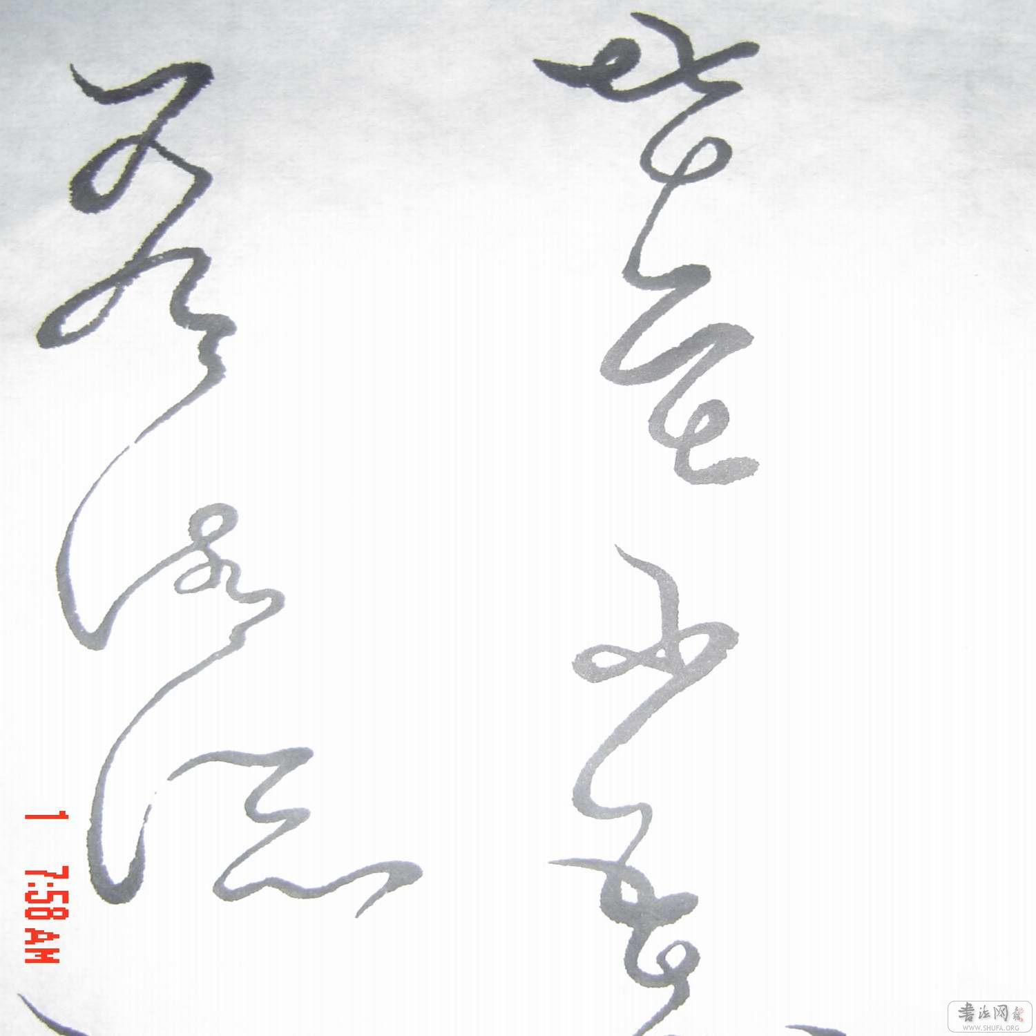 С ת DSC00035.JPG
