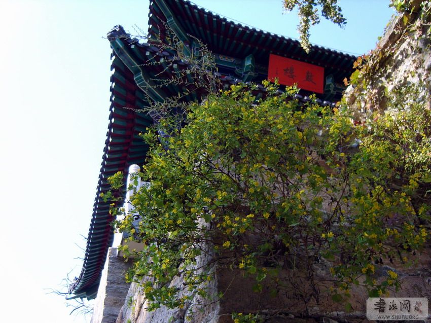 S8003130.jpg