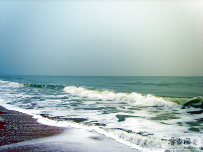 S8003178.jpg