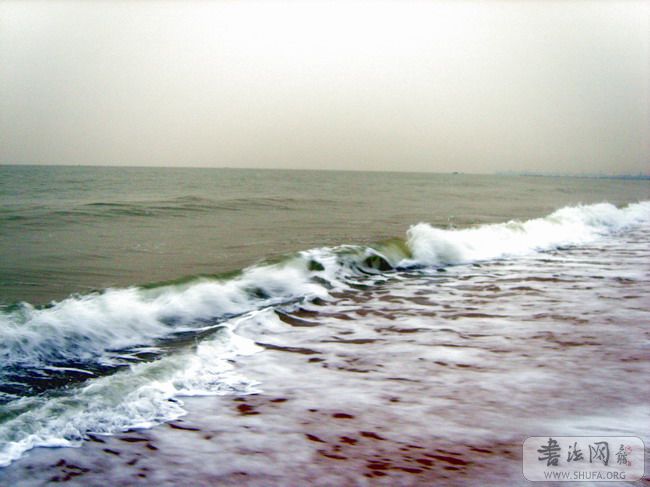 S8003181.jpg