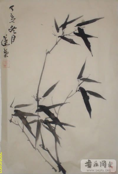 001-1.jpg