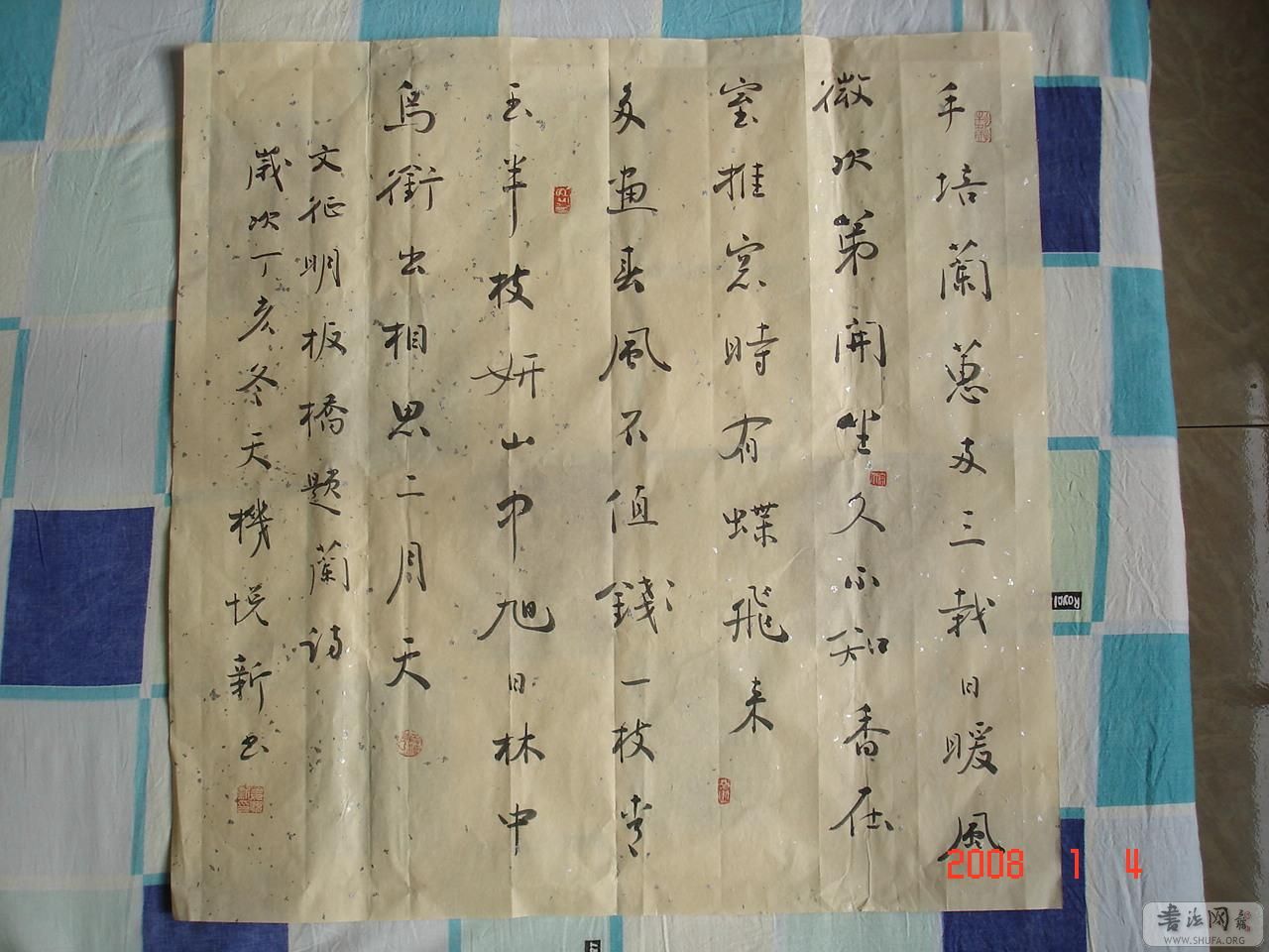 DSC00026-0.JPG