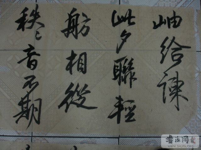 DSC01453.JPG
