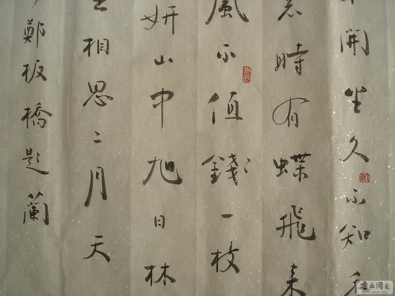 DSC00103-0.JPG