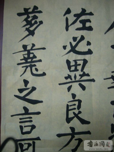 P1000529.JPG