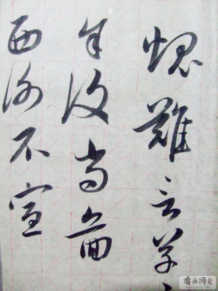 S7300630.JPG