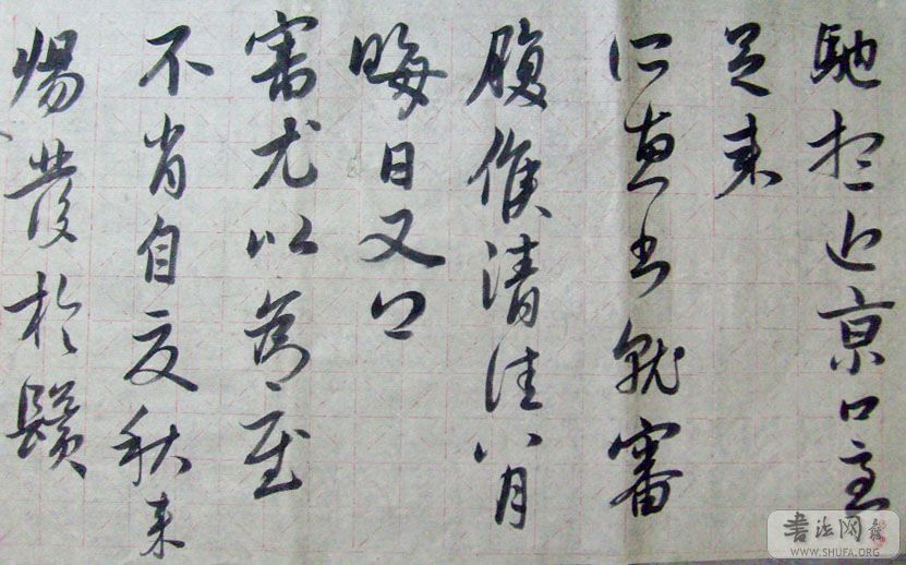 S7300691.JPG