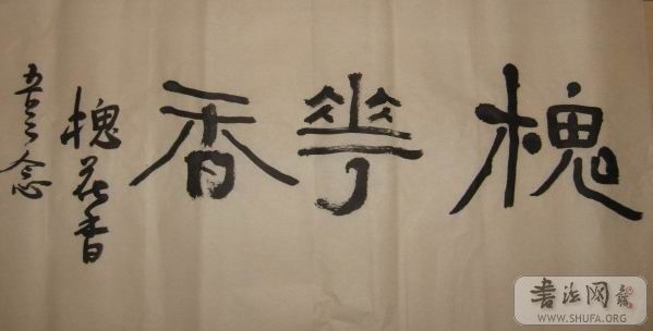 IMG_8511.jpg