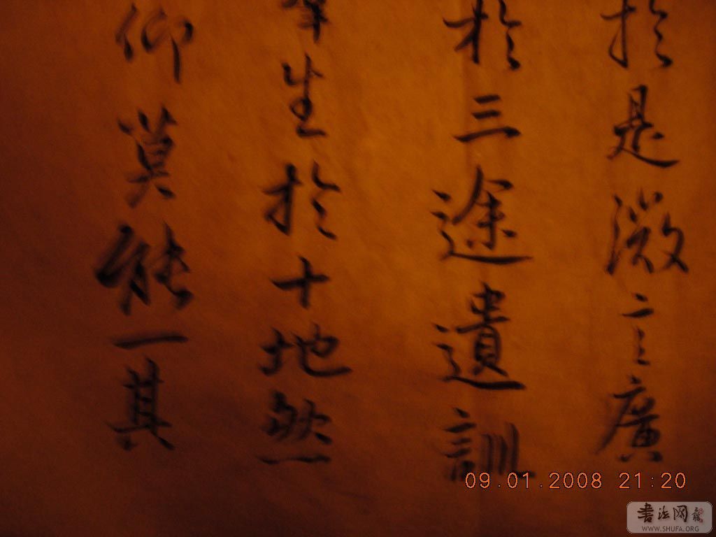 DSCN7765.jpg