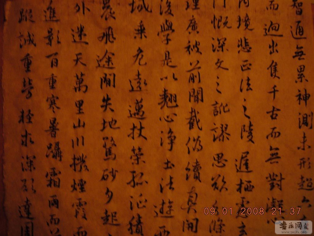DSCN7798.jpg