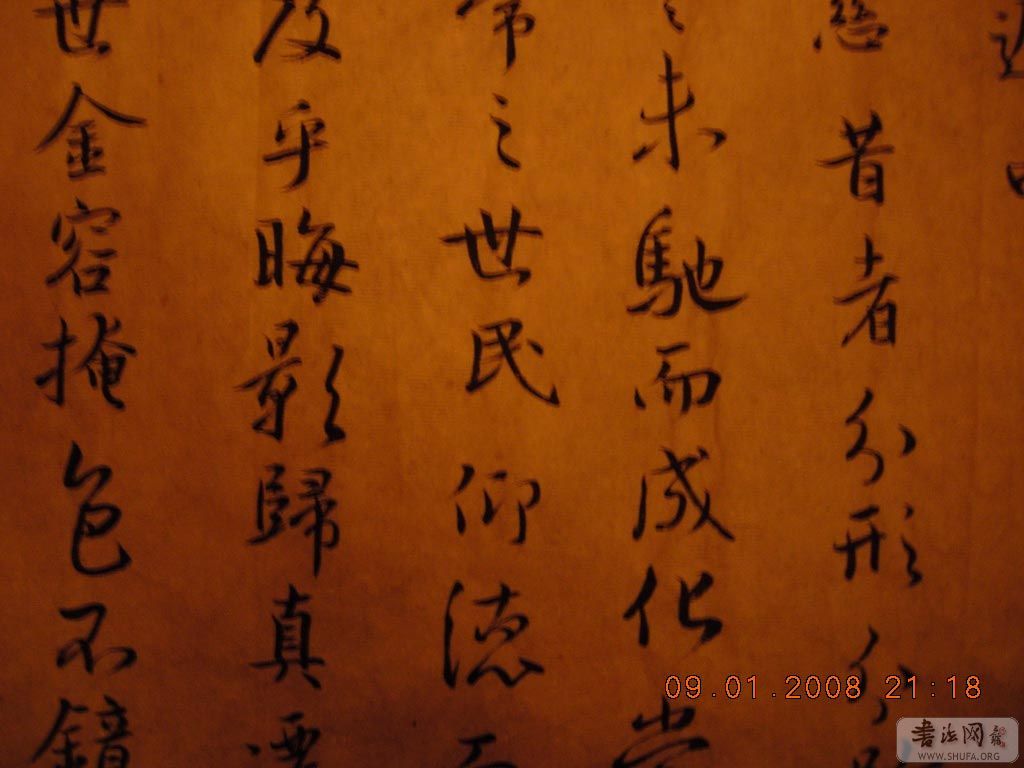 DSCN7759.jpg
