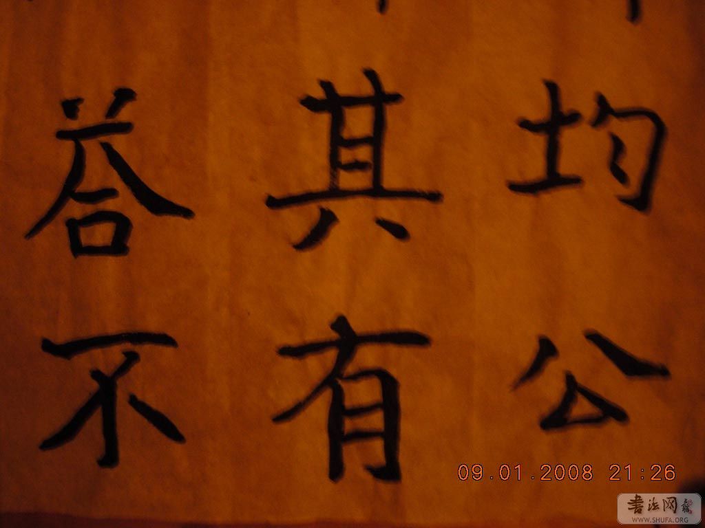 DSCN7786.jpg