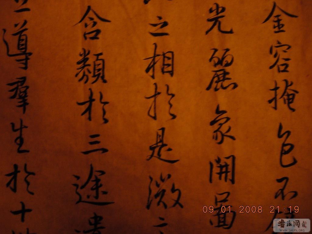 DSCN7764.jpg