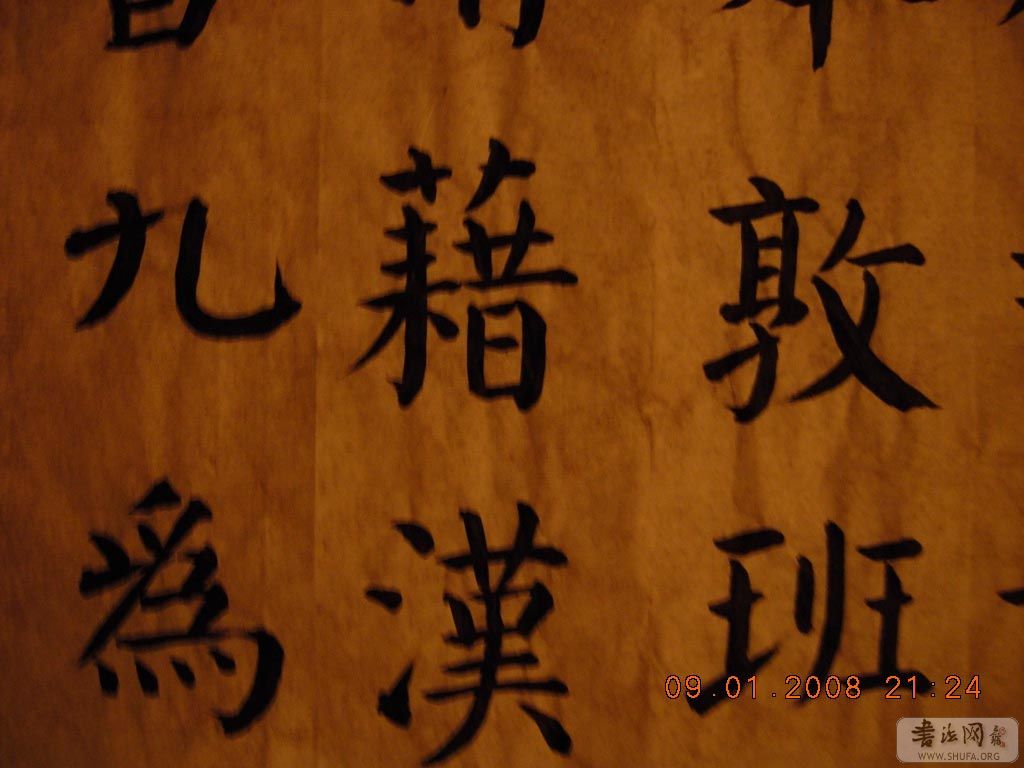DSCN7778.jpg
