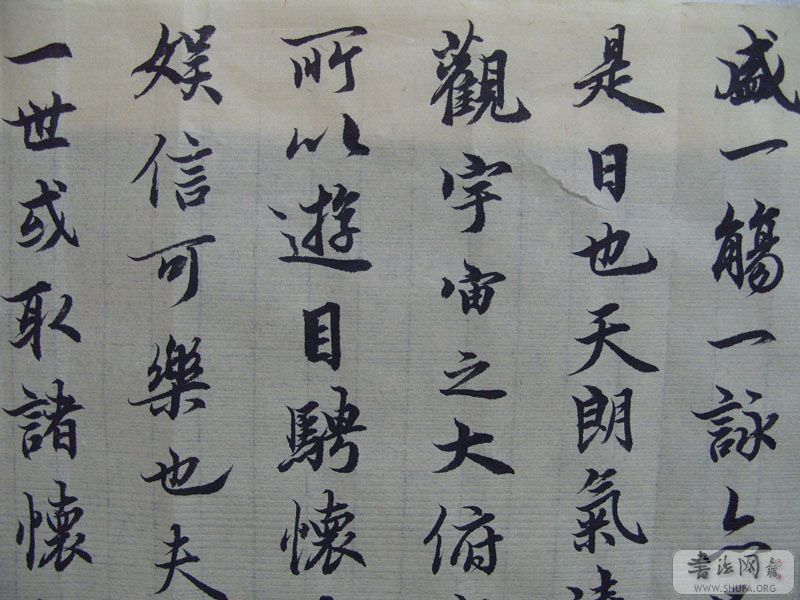 S1050281.JPG