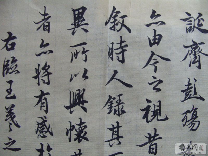 S1050288.JPG