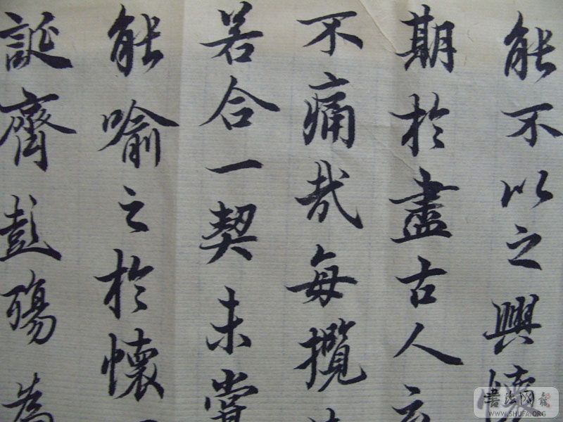 S1050285.JPG