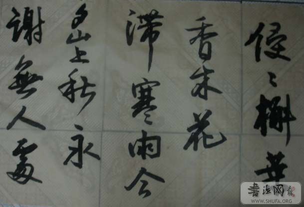DSC01524.JPG