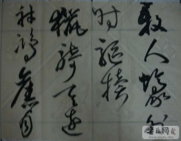 DSC01521.JPG