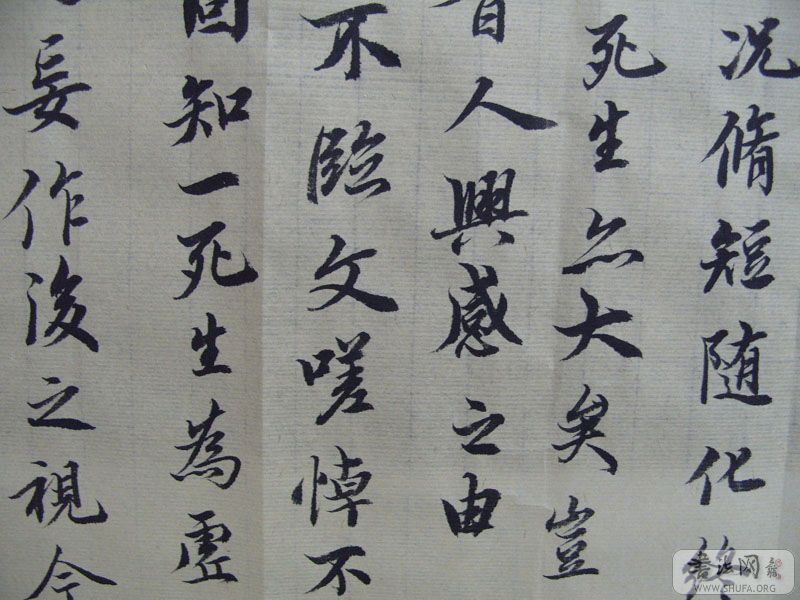 S1050286.JPG