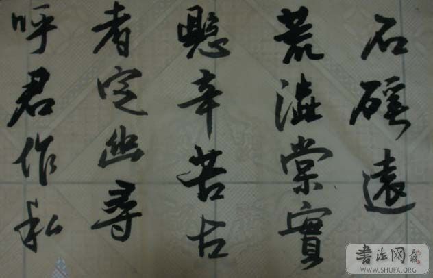DSC01525.JPG